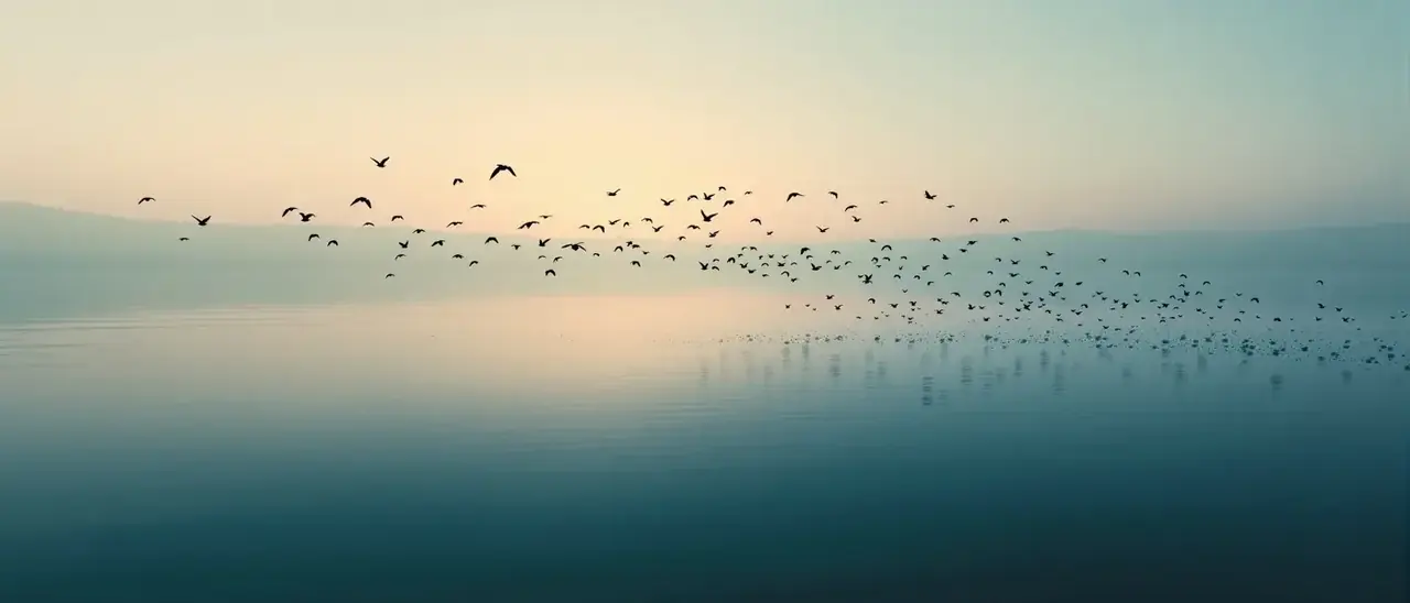 哈哈影院应用下载背景
